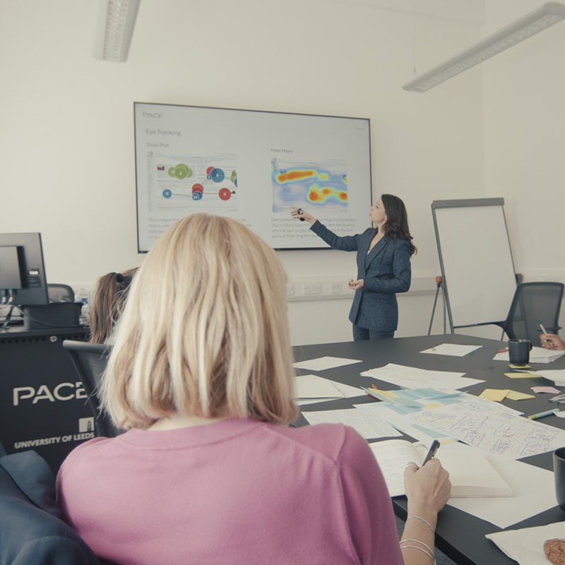 Principles of User Interface Design 